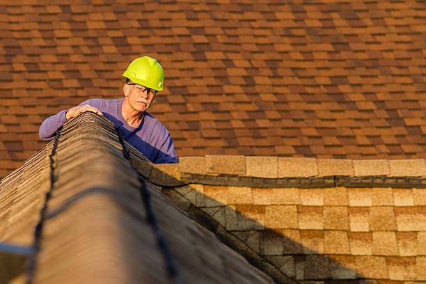 Best Roof Maintenance Services  in Lake Mills, IA
